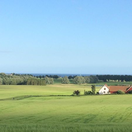 Garden Mellan Slotten Svarte Eksteriør bilde