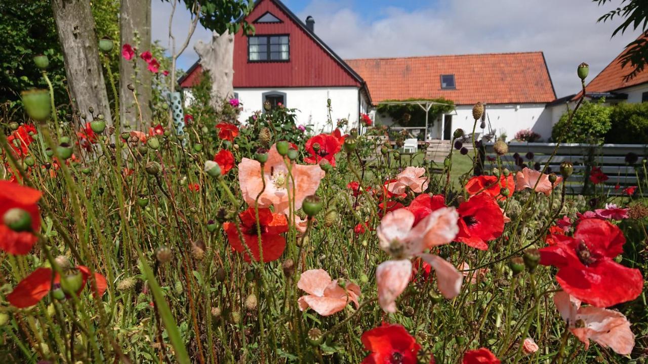 Garden Mellan Slotten Svarte Eksteriør bilde