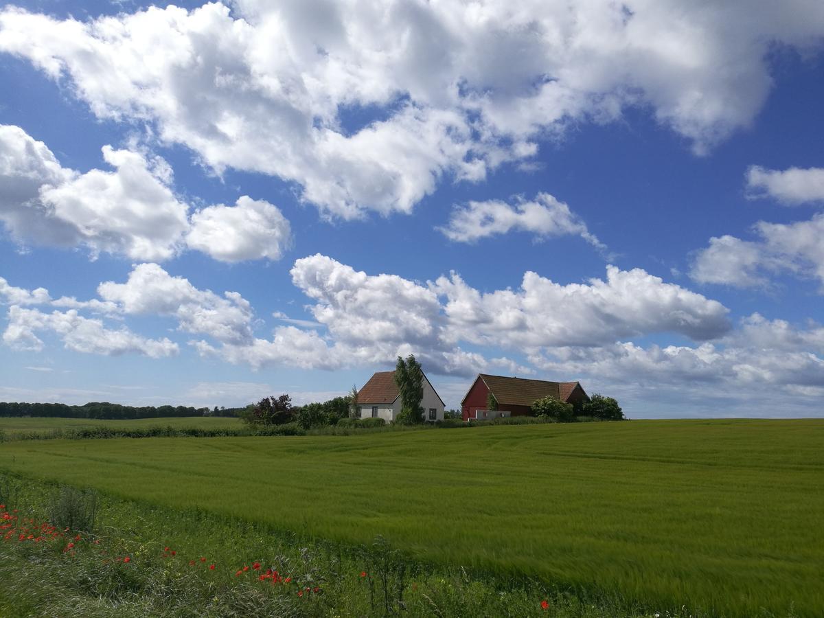 Garden Mellan Slotten Svarte Eksteriør bilde
