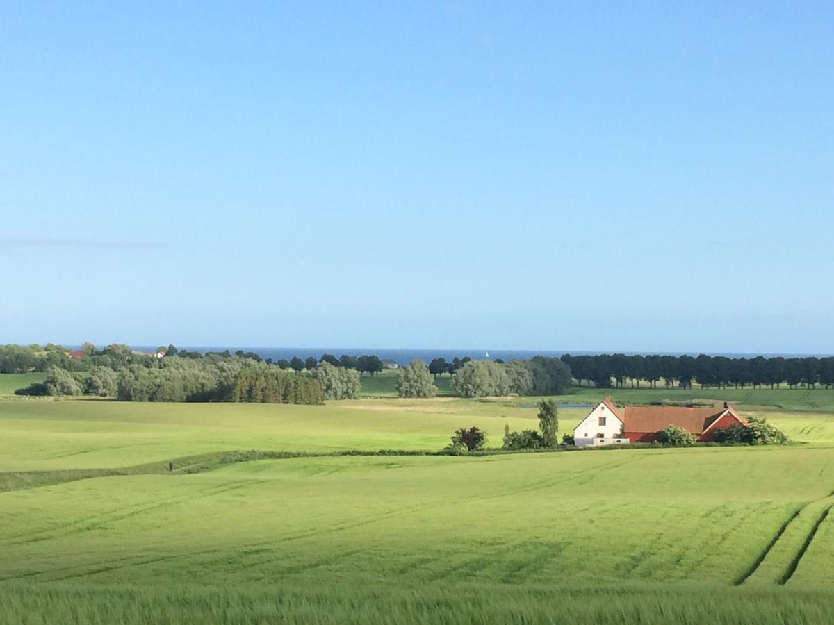 Garden Mellan Slotten Svarte Eksteriør bilde
