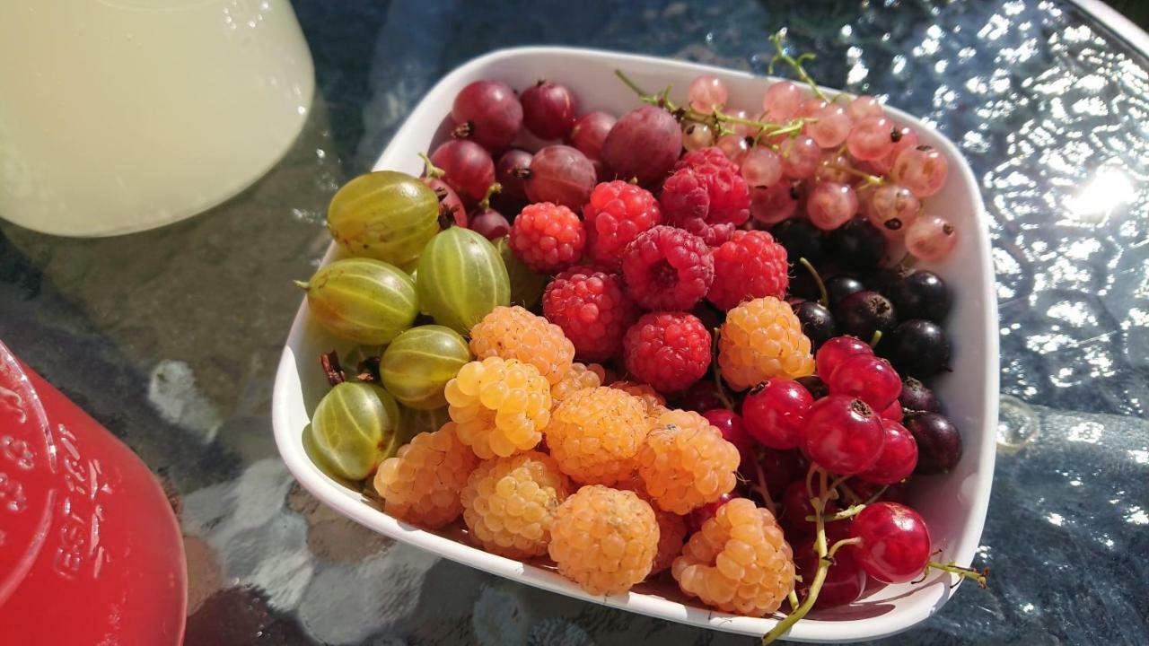 Garden Mellan Slotten Svarte Eksteriør bilde